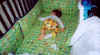 cutebutt.jpg (80153 bytes)