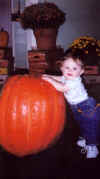pumpkin.jpg (65647 bytes)