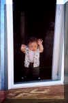 screendoor1.jpg (29858 bytes)