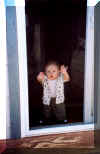 screendoor2.jpg (28300 bytes)