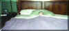 bed.jpg (21690 bytes)